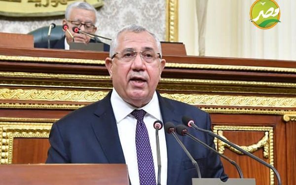 «الزراعة» "بحوث الصحراء والفاو" ينظمان ورش عمل لرصد الممارسات الزراعية بالوادي الجديد 1 بحوث الصحراء والفاو ينظمان ورشة عمل لرصد الممارسات الزراعية