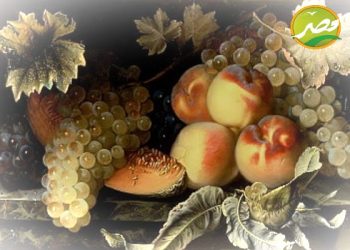 برنامج «الارض» يحذر مزارعي “العنب والخوخ” من هذه الأخطاء