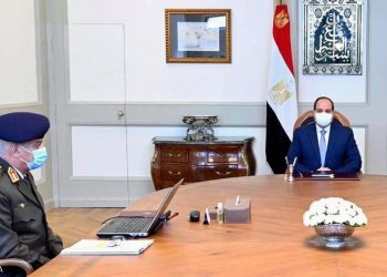 مصر الزراعية ووكالات