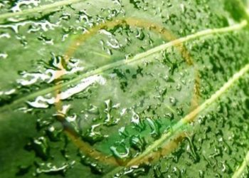 الرطوبة تتجاوز 73% .. اعرف نسبة الرطوبة وجودة الهواء بمحافظتك