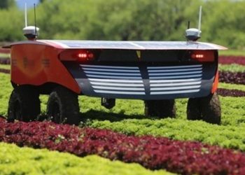 تسريع نمو المحاصيل