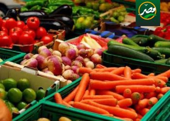 «الزراعة»  10 توصيات هامة لزيادة القدرة التنافسية للمنتجات الزراعية المصرية