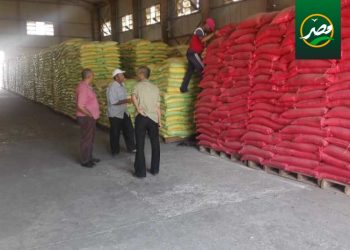 للحصول على إنتاجية عالية «الزراعة» تناشد المزارعين شراء التقاوي المعتمدة