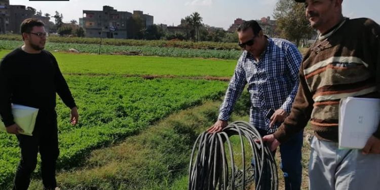 «مشروع احياء البتلو وتطوير الري ومراكز تجميع الالبان» تعرف على إنجازات «زراعة دمياط» 1 «مشروع احياء البتلو وتطوير الري ومراكز تجميع الالبان» تعرف على إنجازات «زراعة دمياط»