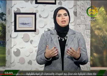 فيديو ..كيف نجحت عبير صلاح  في مكافحة كورونا ؟