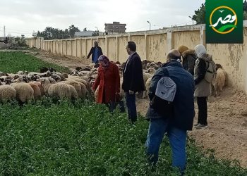 مركز بحوث الصحراء ينظم دورة تدريبية حول الإنتاج النباتي المستدام في الصحراء المصرية