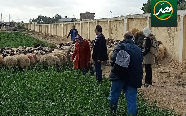 مركز بحوث الصحراء ينظم دورة تدريبية حول الإنتاج النباتي المستدام في الصحراء المصرية 1 مركز بحوث الصحراء ينظم دورة تدريبية حول الإنتاج النباتي المستدام في الصحراء المصرية