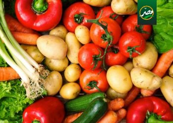 ننشر أسعار «الخضروات والفواكه» بالأسواق مع بداية تعاملات اليوم