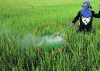 تعرف على طرق الاستخدام الامن لــ «مبيدات الحشائش»