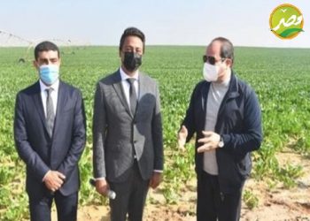 500 الف فدان مشروع جديد ضمن خطة الرئيس لزراعة 4 مليون فدان