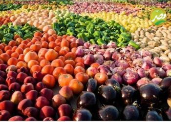 الزراعة تعلن ارتفاع الصادرات  المصريه رغم التحديات