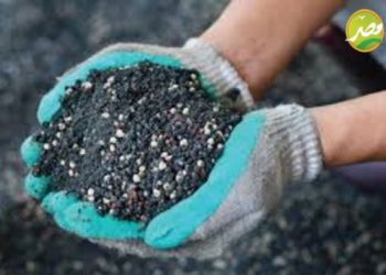 المعايير السليمة لاستخدام المبيدات