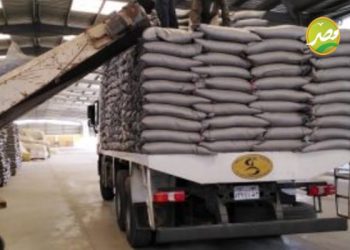 «الزراعة »  فحص 391 رسالة تقاوى مستوردة بمعامل أمراض النبات