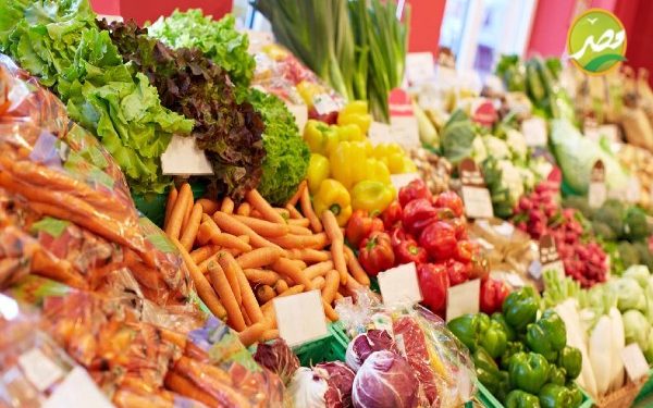 تعرف على ارشادات وزارة الزراعة للحفاظ على محاصيل "البطاطس والطاطم والفراولة" من الصقيع 1 ارشيفية