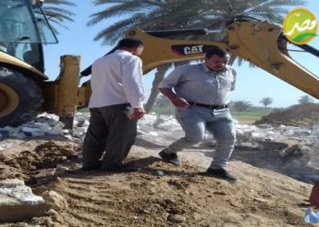 «زراعة الفيوم» تواصل حملات ازالة التعديات على الاراضي الزراعية  بمراكز الفيوم وطامية وسنورس