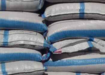 الزراعة : محطات التقاوي تعمل بكامل طاقتها رغم الظروف الجوية المتقلبة