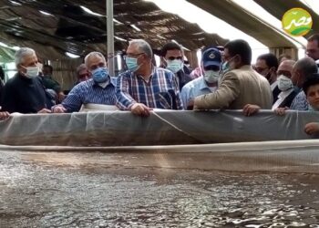 «وزير الزراعة»ومحافظ «جنوب سيناء» يتفقدا “مزرعة الاستزارع السمكي والصوب الزراعية ” بنويبع