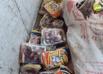 « الزراعة »ضبط 18 طن من اللحوم الداجنة بــ «القليوبية»