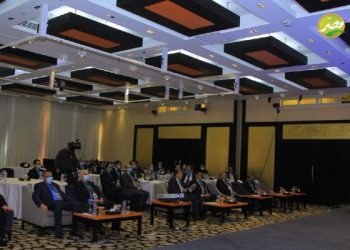 توصيات بالتركيز على اقتصاديات «الامونيا الخضراء» كبديل عالمي لنقل «طاقة الهيدروجين» بــ «ندوة أسوان»