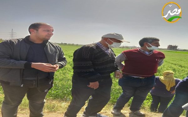 بتكليف من «القصير» تكثيف المرور على زراعات القمح للاطمئنان  المحصول الاستيراتيجي بالمحافظات