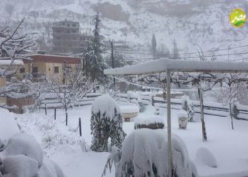 رياح وأمطار .. الوصايا الــ « 15 » من الزراعة للمزارعين في التعامل مع موجة الطقس غير المستقرة