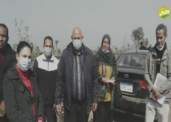 “الزراعة” تطمئن على الحالة المرضية للقمح فى محافظة بنى سويف