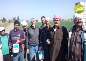 “القصير” يوجه بـ “مدرسة حقلية” للنهوض بزراعة القمح ببورسعيد