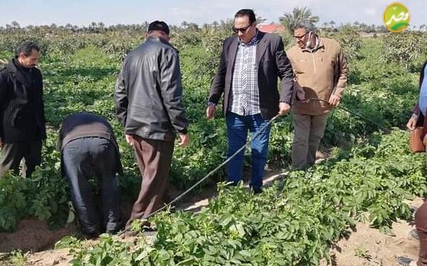 وكيل زراعة دمياط يتابع تطورات استخدام الري الحديث بالمحافظة 1 وكيل زراعة دمياط يتابع تطورات استخدام الري الحديث بالمحافظة