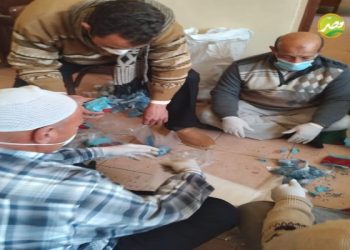 مديريةالزراعة بالمنوفية تنفذ حلمة صيانة محصول “القمح”