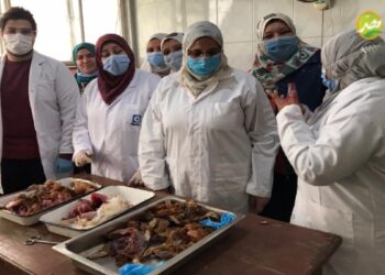 “الزراعة” تختتم دورة معهد صحة الحيوان حول تشخيص امراض الدواجن