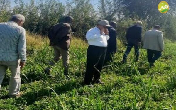 «القصير» يكلف " رئيس البحوث الزراعية" بمتابعة المحاصيل الشتوية بالصعيد والإطمئنان على محصول "القصب" 1 «القصير» يكلف ” رئيس البحوث الزراعية” بمتابعة المحاصيل الشتوية بالصعيد والإطمئنان على محصول “القصب”