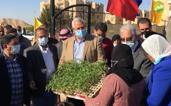 وزير الزراعة ومحافظ جنوب سيناء يفتتحان وحدة مركز بحوث الصحراء لإنتاج الشتلات وتقديم الدعم الفنى بالطور 1 وزير الزراعة ومحافظ جنوب سيناء يفتتحان وحدة مركز بحوث الصحراء لإنتاج الشتلات وتقديم الدعم الفنى بالطور