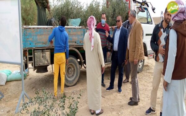 «وزير الزراعة» يكلف مركز الصحراء بتوفير الدعم الفني للمزارعين بالمناطق الصحراوية لمكافحة أثر التقلبات الجوية 1 «وزير الزراعة» يكلف مركز الصحراء بتوفير الدعم الفني للمزارعين بالمناطق الصحراوية لمكافحة أثر التقلبات الجوية
