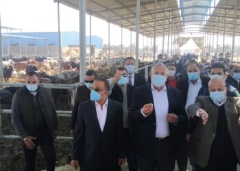 وزير الزراعة ومحافظ الإسكندرية يفتتحان مزرعة جديدة للإنتاج الحيواني بالنوبارية