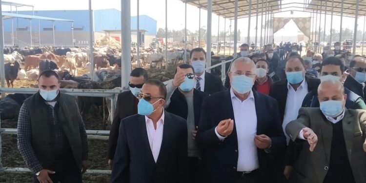 وزير الزراعة ومحافظ الإسكندرية يفتتحان مزرعة جديدة للإنتاج الحيواني بالنوبارية