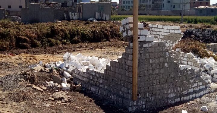 وزير الزراعة يستبعد مسئولين بمديرية الدقهلية تقاعسوا في منع التعدي على الأراضي الزراعية 1 التعدي على الأراضي الزراعية