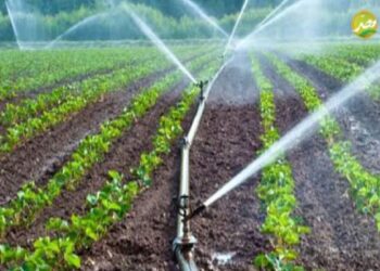 الري الحديث ضرورة مش ترفيه