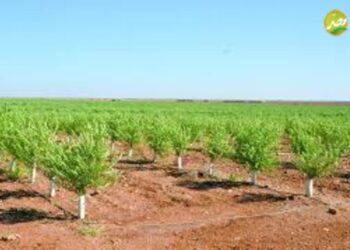 توصيات يجب اتباعها لتخطي التغيرات المناخية