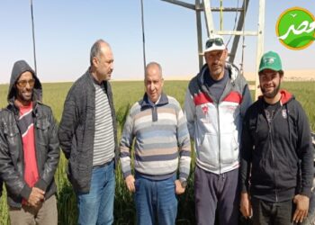 «الزراعة» تتابع تجهيز وإعداد وجودة التقاوى بشرق العوينات والخارجة والداخلة «بالوادي الجديد»