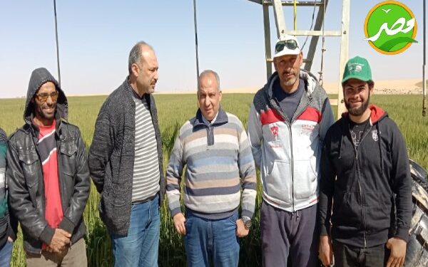 «الزراعة» تتابع تجهيز وإعداد وجودة التقاوى بشرق العوينات والخارجة والداخلة «بالوادي الجديد» 1 «الزراعة» تتابع تجهيز وإعداد وجودة التقاوى بشرق العوينات والخارجة والداخلة «بالوادي الجديد»