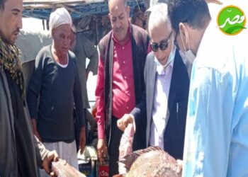 «رئيس هيئة الثروة السمكية» يتفقد ميناء الصيد وبحيرة السد والمفرخات السمكية بــ «أسوان»