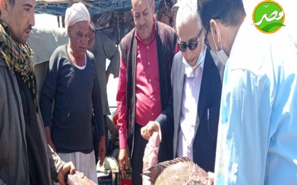 «رئيس هيئة الثروة السمكية» يتفقد ميناء الصيد وبحيرة السد والمفرخات السمكية بــ «أسوان» 1 «رئيس هيئة الثروة السمكية» يتفقد ميناء الصيد وبحيرة السد والمفرخات السمكية بــ «أسوان»