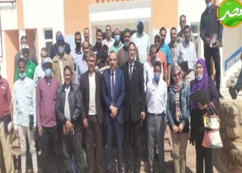 «القصير» يكلف بمكافحة سوسة النخيل الحمراء والنمل الأبيض بجنوب سيناء.