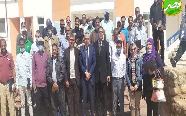 «القصير» يكلف بمكافحة سوسة النخيل الحمراء والنمل الأبيض بجنوب سيناء. 1 «القصير» يكلف بمكافحة سوسة النخيل الحمراء والنمل الأبيض بجنوب سيناء.