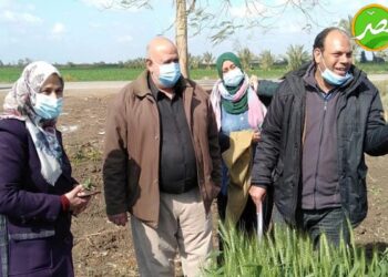 «الزراعة» تستعرض تقريرًا حول أنشطة معهد بحوث أمراض النباتات