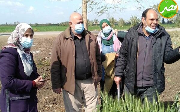 «الزراعة» تستعرض تقريرًا حول أنشطة معهد بحوث أمراض النباتات 1 «الزراعة» تستعرض تقريرًا حول أنشطة معهد بحوث أمراض النباتات