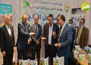 «مساعد وزير الزراعة» يستعرض  دور صندوق التأمين على الماشية في دعم المربيين بندوة تفاعلية