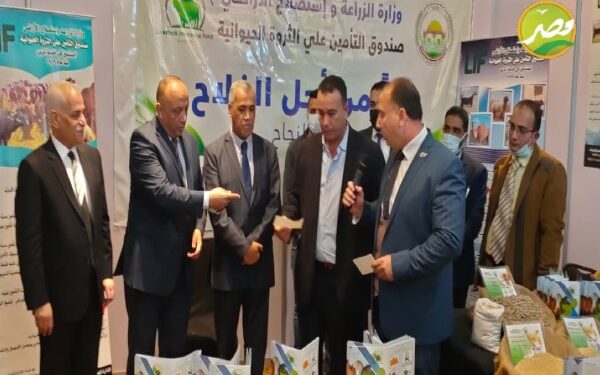 «مساعد وزير الزراعة» يستعرض دور صندوق التأمين على الماشية في دعم المربيين بندوة تفاعلية 1 «مساعد وزير الزراعة» يستعرض  دور صندوق التأمين على الماشية في دعم المربيين بندوة تفاعلية