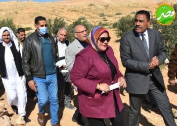 «الزراعة» بحوث الصحراء يوزع ٥٠ الف شتلة زيتون مجانا علي مزارعي مطروح وسيوه