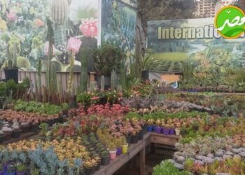 معرض زهور الربيع